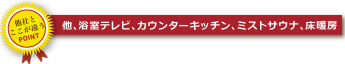 他、浴室テレビ、カウンターキッチン、ミストサウナ、床暖房