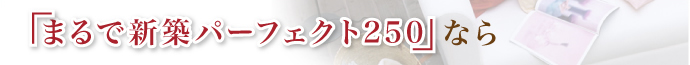 「まるで新築 パーフェクト250」なら